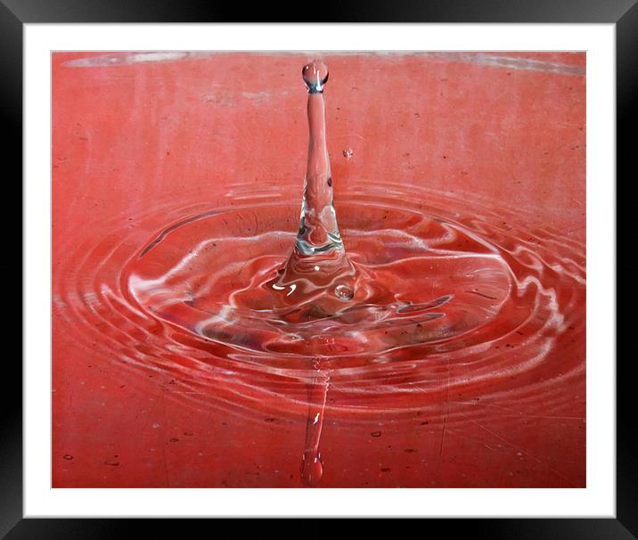 Splash water droplets  hdr Framed Mounted Print by David French