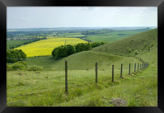 Vale of Pewsey Wiltshire Downs Framed Print by David French