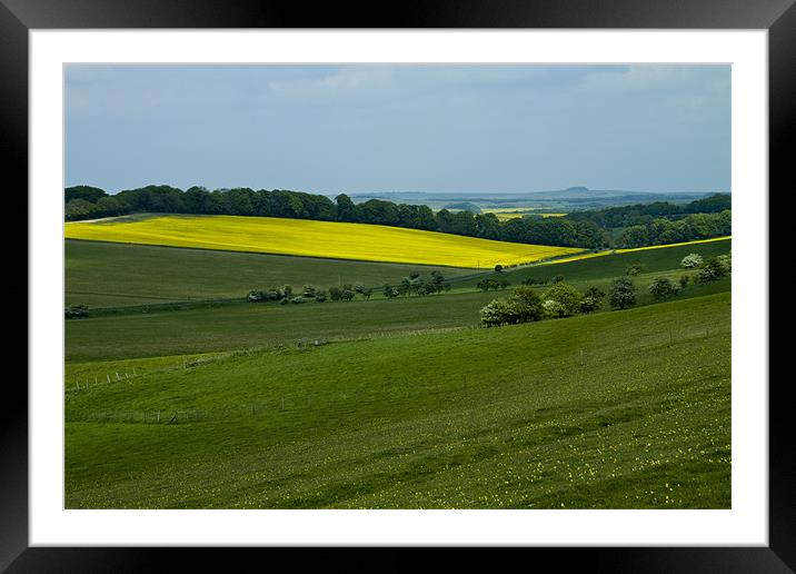 Vale of Pewsey Wiltshire Downs Framed Mounted Print by David French