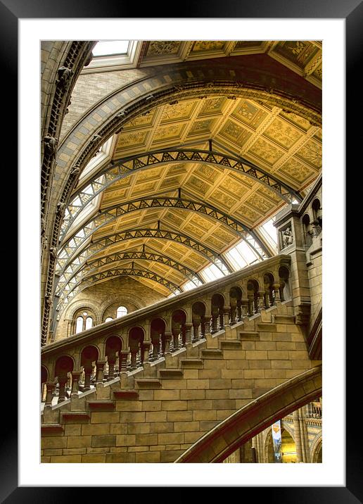 Natural History Museum Kensington fractals Framed Mounted Print by David French