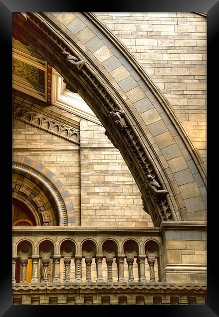 Natural History Museum Kensington Framed Print by David French