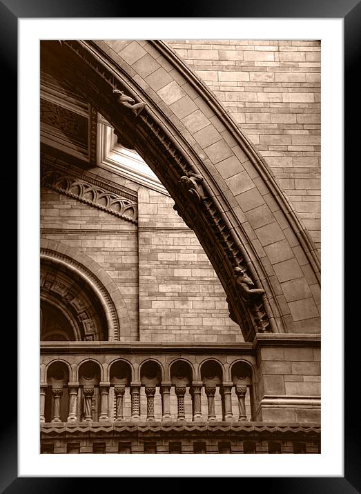 Natural History Museum Kensington toned Framed Mounted Print by David French