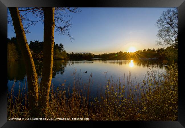 Lake sunset Sherwood Forest  Framed Print by Julie Tattersfield