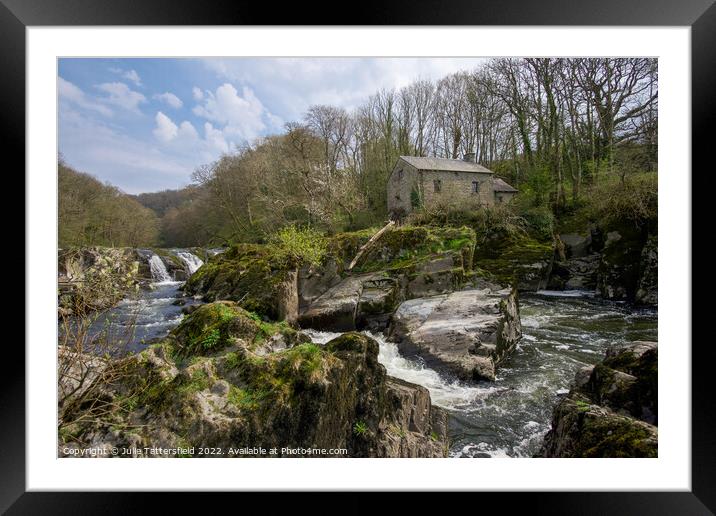 Cenarth waterfalls Framed Mounted Print by Julie Tattersfield