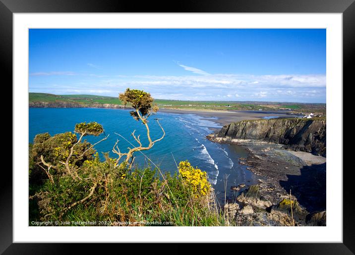 Pembrokeshire beautiful coast Framed Mounted Print by Julie Tattersfield