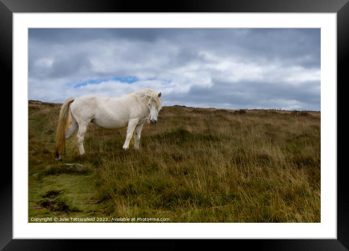 Saying hello Framed Mounted Print by Julie Tattersfield