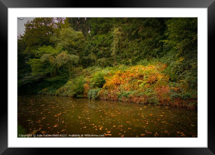 Autumn Fall on the Canal Framed Mounted Print by Julie Tattersfield
