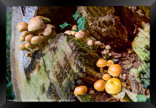 Fungi Tree House Framed Print by Julie Tattersfield