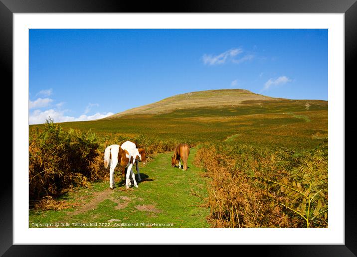The Sugar Loaf Mountain horse's trail Framed Mounted Print by Julie Tattersfield