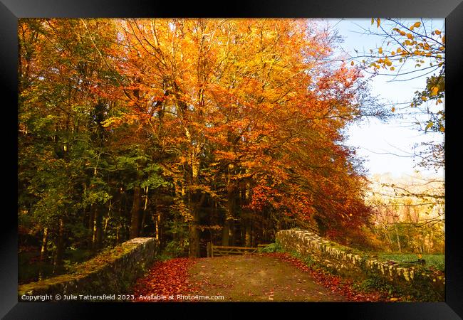 Autumn bridge in wales  Framed Print by Julie Tattersfield