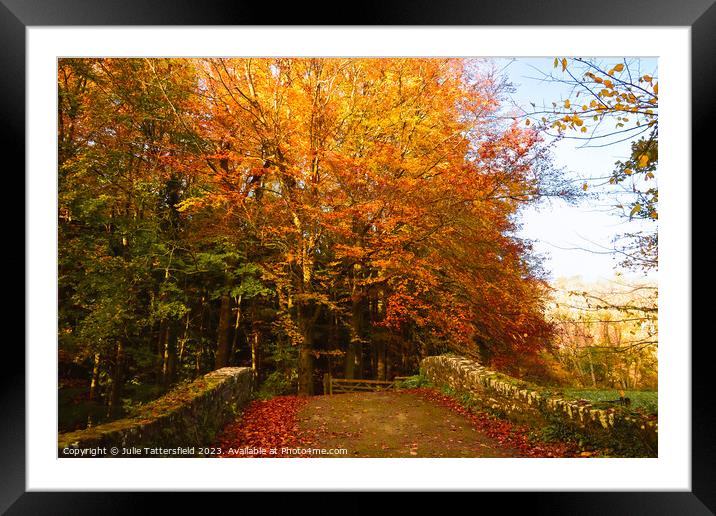 Autumn bridge in wales  Framed Mounted Print by Julie Tattersfield