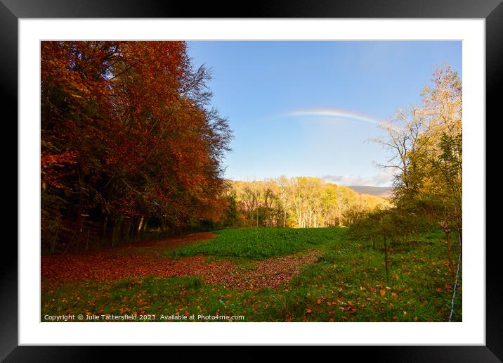 Autumn rainbow Framed Mounted Print by Julie Tattersfield