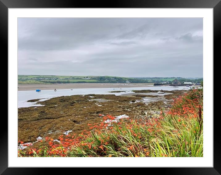 Coast path flowers with a beach view Framed Mounted Print by Julie Tattersfield