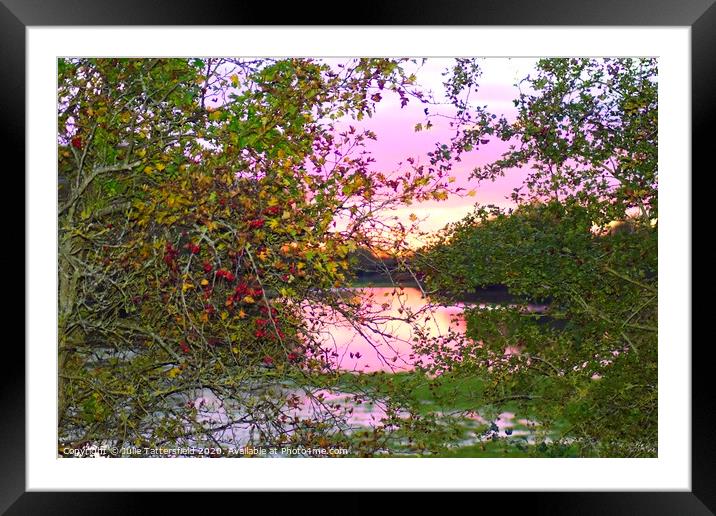 Autumn Berries framing the sunset Oxfordshire Framed Mounted Print by Julie Tattersfield