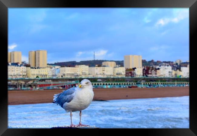 Brighton seagull looking for chips! Framed Print by Julie Tattersfield