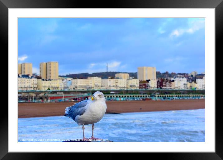 Brighton seagull looking for chips! Framed Mounted Print by Julie Tattersfield