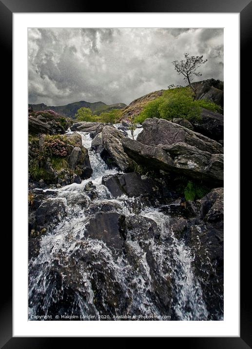 Lone Tree, Ogwen Valley Framed Mounted Print by Malcolm Lander