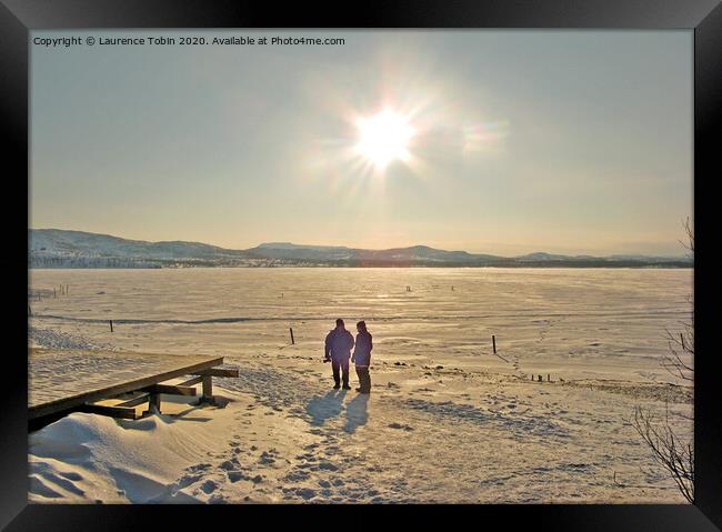 Arctic Meeting Under the Sun Framed Print by Laurence Tobin
