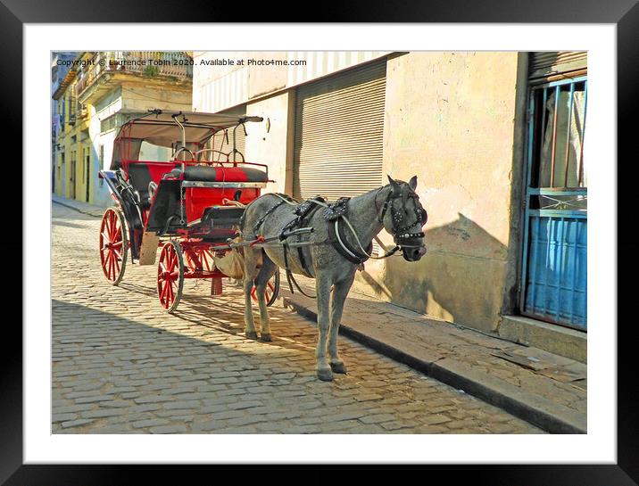 Horse and Carriage, Havana Cuba Framed Mounted Print by Laurence Tobin