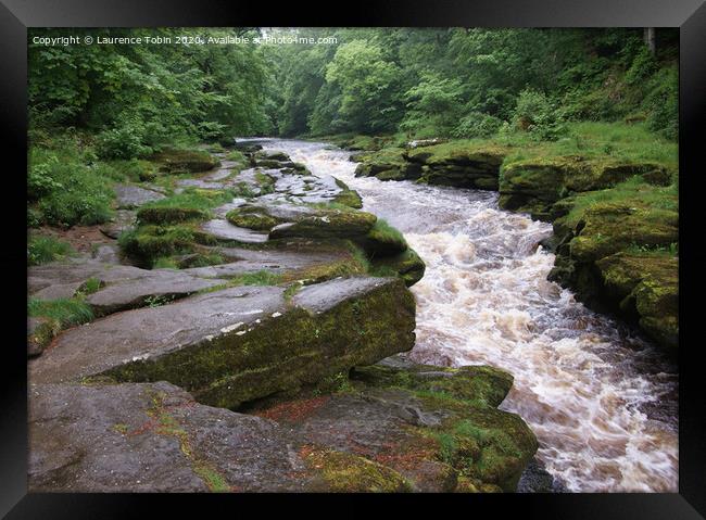 Rapids on The Strid near Bolton Abbey Framed Print by Laurence Tobin