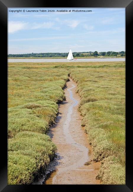 Sailing on the River Colne at Brightlingsea, Essex Framed Print by Laurence Tobin