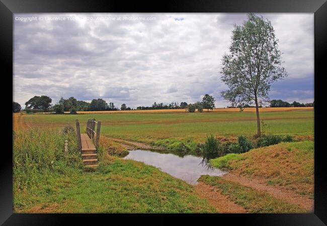 An Essex Countryside Walk Framed Print by Laurence Tobin