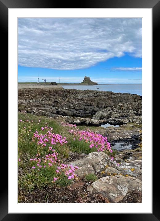 Lindisfarne castle by  day Framed Mounted Print by David Thompson