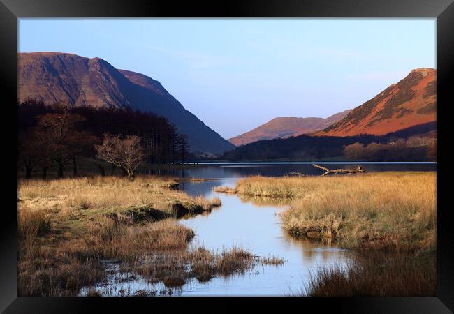 Buttermere Lake District  Framed Print by David Thompson