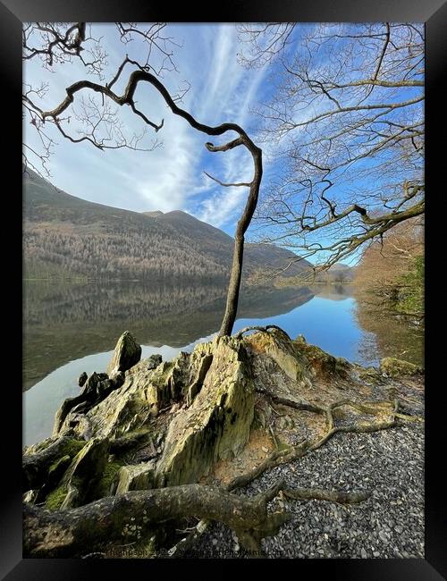 Buttermere Lake District  Framed Print by David Thompson