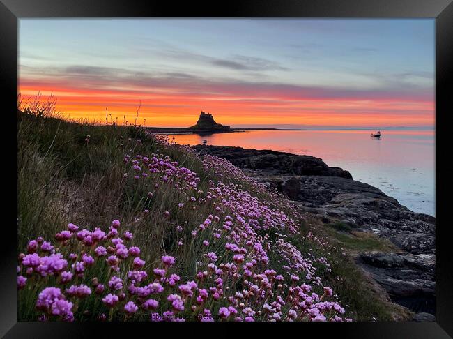 Holy Island Sunrise Northumberland Coast  Framed Print by David Thompson