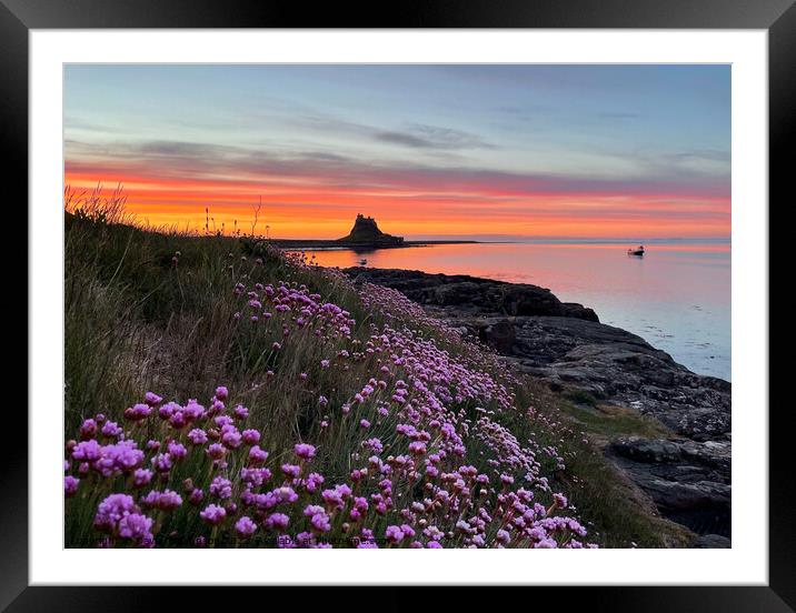 Holy Island Sunrise Northumberland Coast  Framed Mounted Print by David Thompson