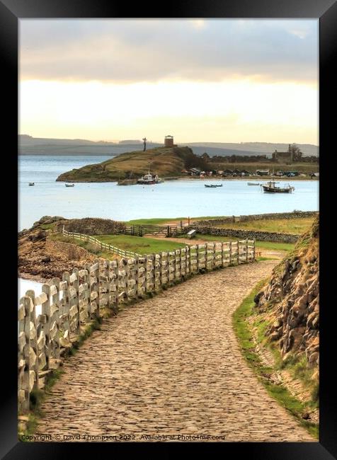 Holy Island Harbour Framed Print by David Thompson