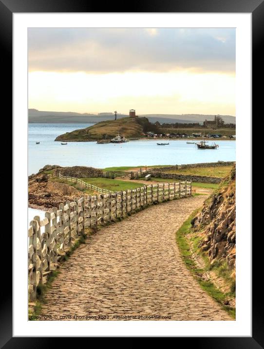 Holy Island Harbour Framed Mounted Print by David Thompson