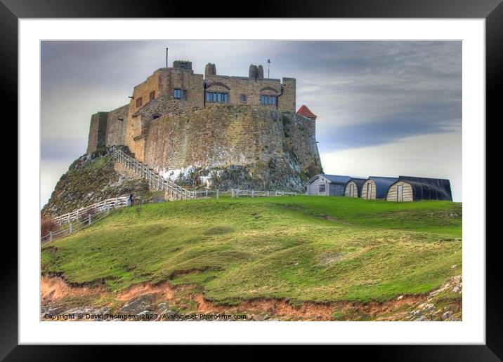 Holy Island Castle  Framed Mounted Print by David Thompson