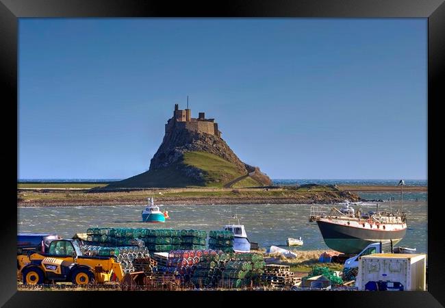 Holy Island Framed Print by David Thompson