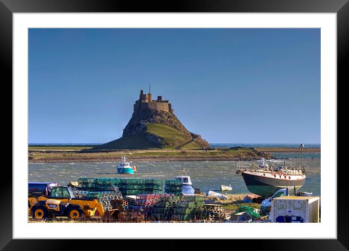 Holy Island Framed Mounted Print by David Thompson