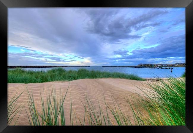 Warkworth Sand Dunes Northumberland Coast  Framed Print by David Thompson