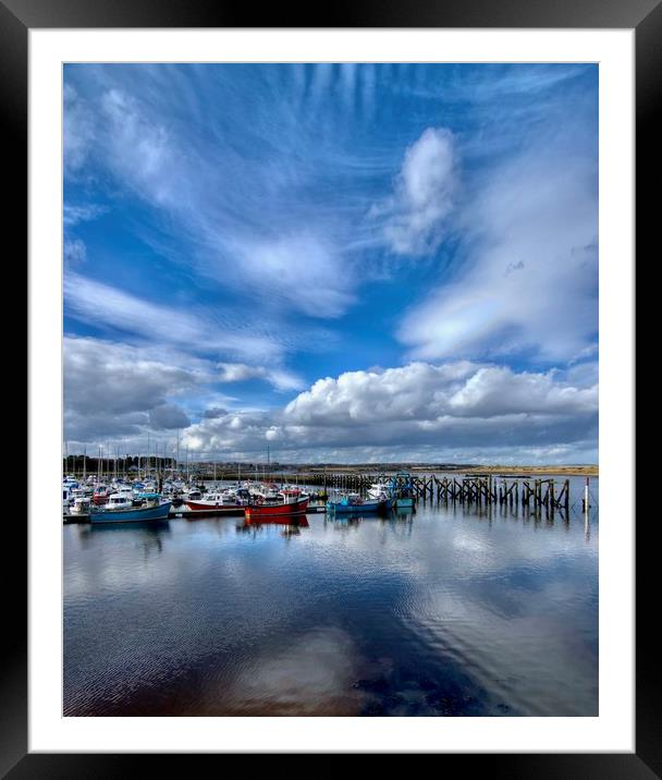 Amble Marina Northumberland Coast  Framed Mounted Print by David Thompson