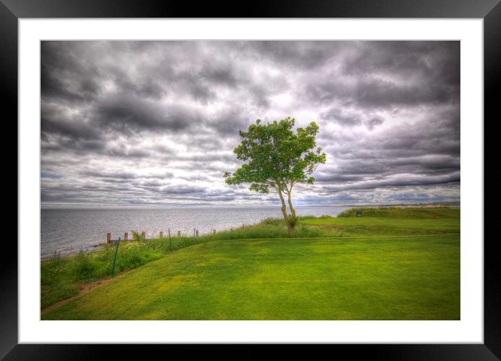  Alnmouth Golf Course Northumberland Coast  Framed Mounted Print by David Thompson