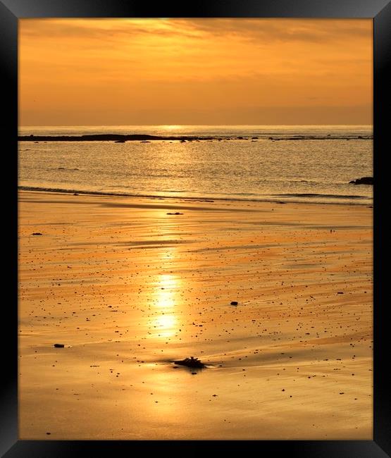 Alnmouth Northumberland Coast Framed Print by David Thompson