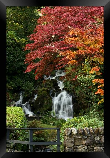 Autumn colours Trossachs Scotland Framed Print by David Thompson