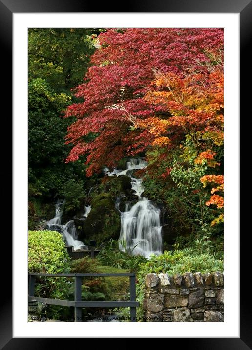 Autumn colours Trossachs Scotland Framed Mounted Print by David Thompson