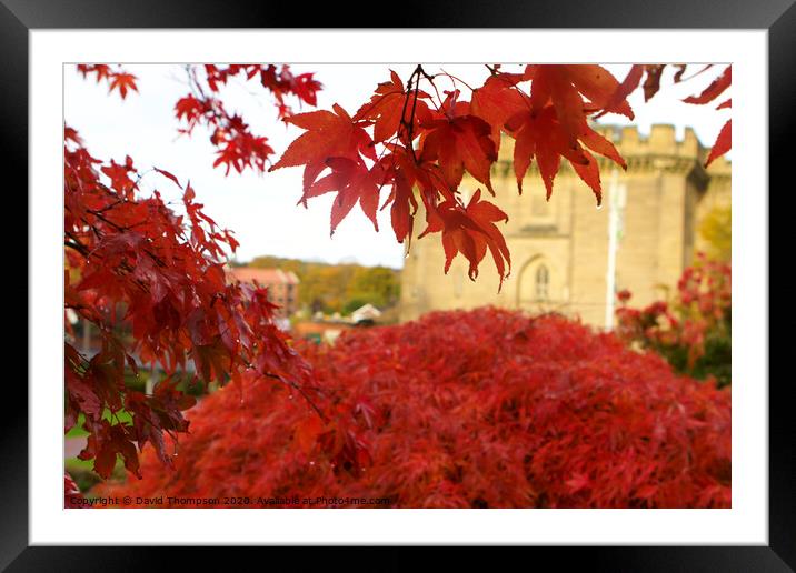 Morpeth Courthouse Northumberland Framed Mounted Print by David Thompson