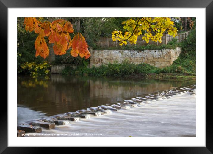 Autumn in Morpeth Northumberland Framed Mounted Print by David Thompson