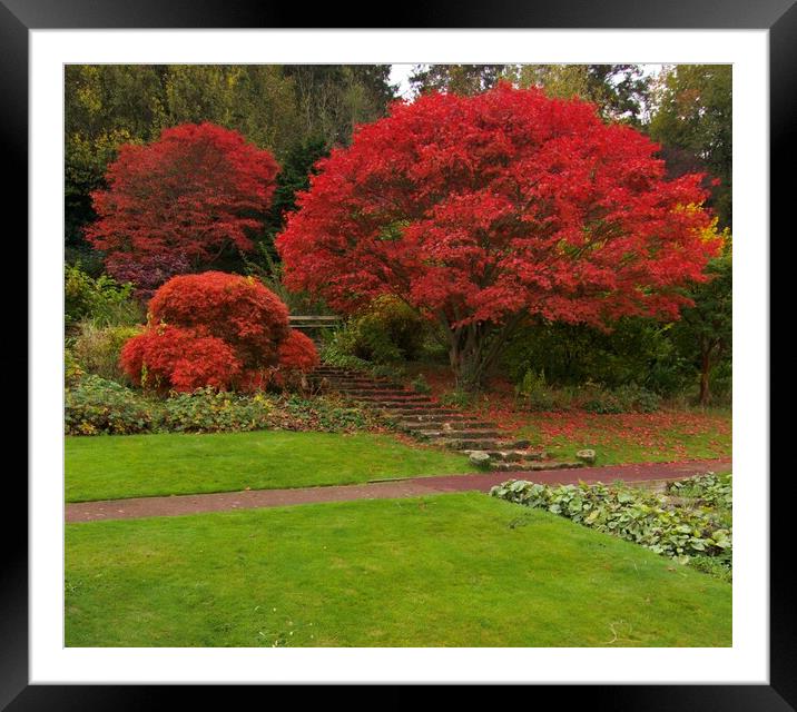 Morpeth Park Northumberland Framed Mounted Print by David Thompson