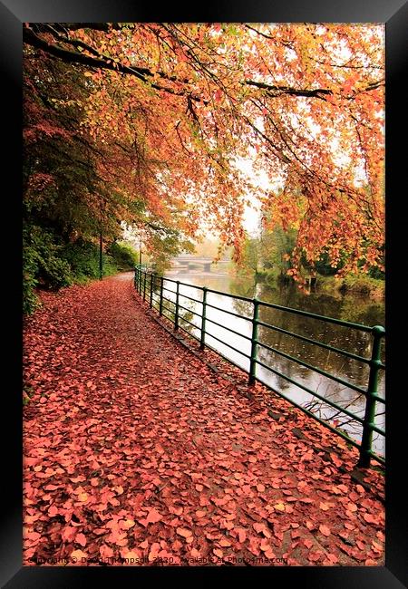 Morpeth Northumberland  Promenade in Autumn  Framed Print by David Thompson