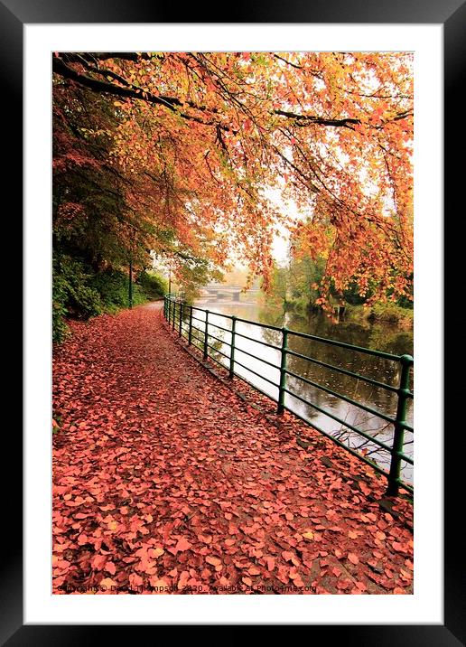 Morpeth Northumberland  Promenade in Autumn  Framed Mounted Print by David Thompson