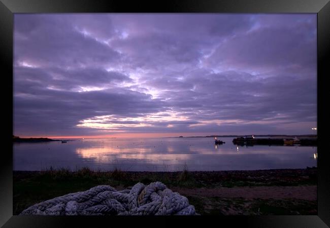 Holy Island Lindisfarne Northumberland Coast  Framed Print by David Thompson