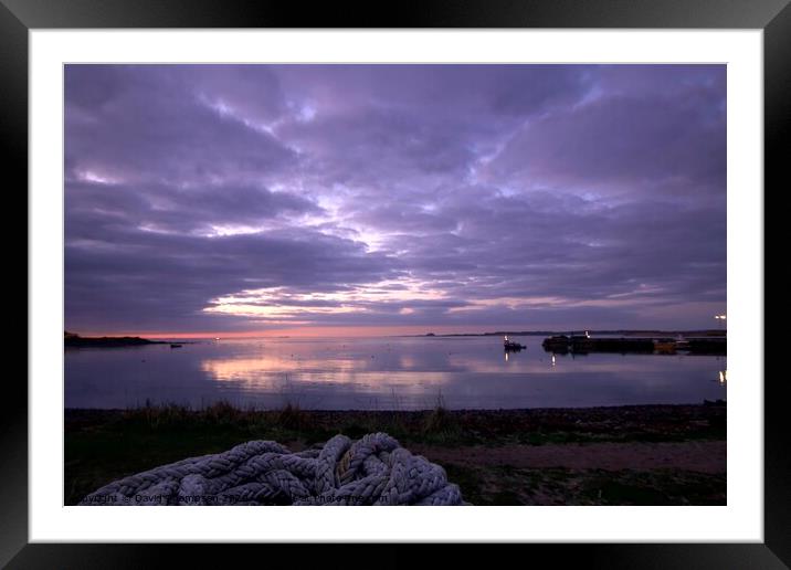 Holy Island Lindisfarne Northumberland Coast  Framed Mounted Print by David Thompson