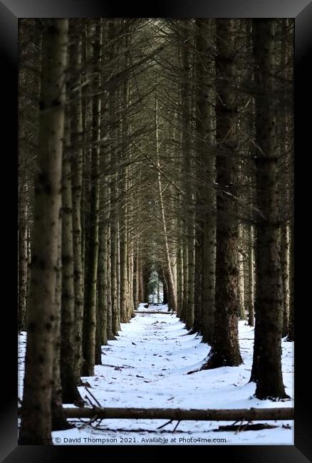 Morpeth Borough Woods Mitford Framed Print by David Thompson